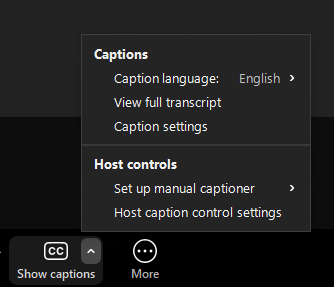 Zoom caption options